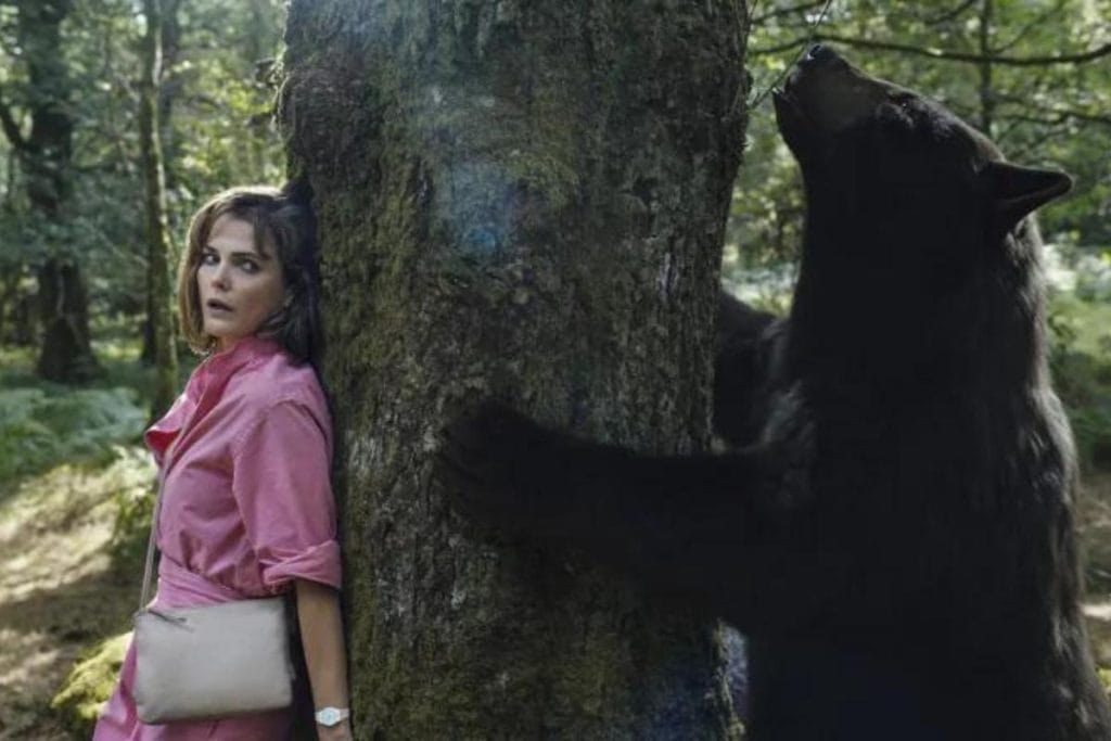 o urso do pó branco: mulher e u urso